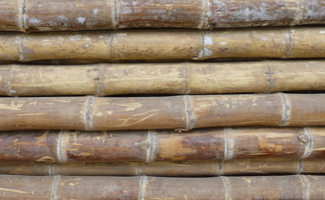 Blog post featured image